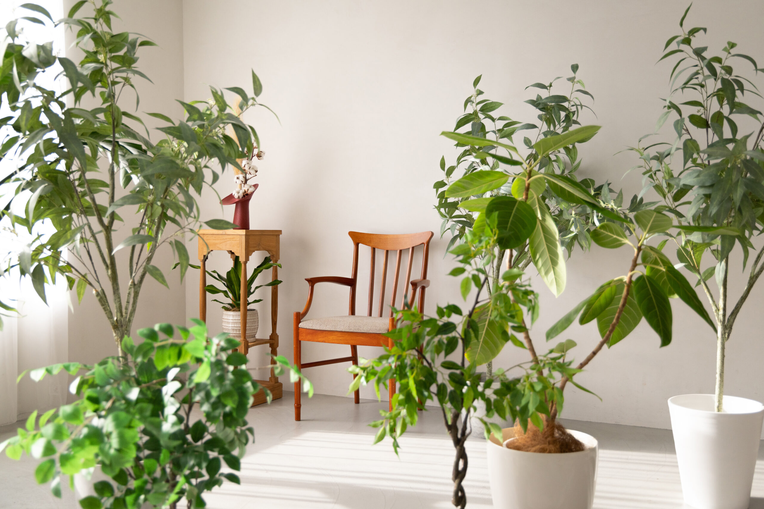 室内にフェイクグリーンを移動したイメージ写真