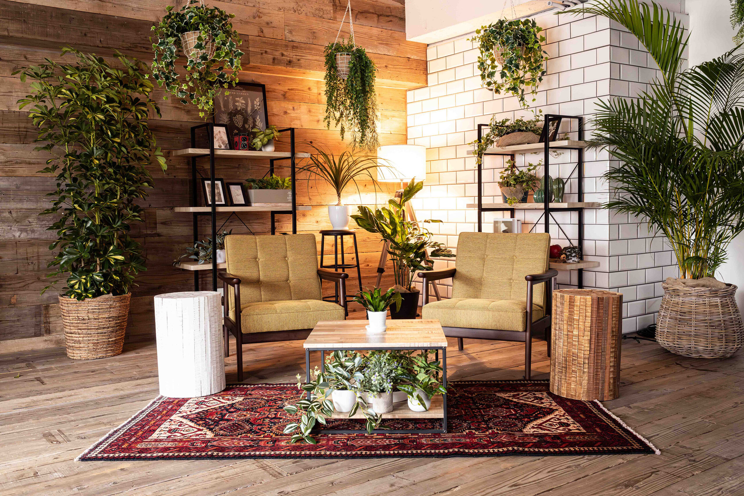 フローリングの上に黄色いラウンジチェアが対談用に2脚並んでいる写真