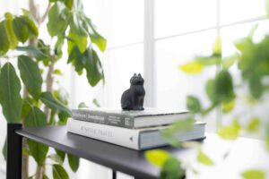 観葉植物囲まれたシェルフに置かれた洋書と猫の置物