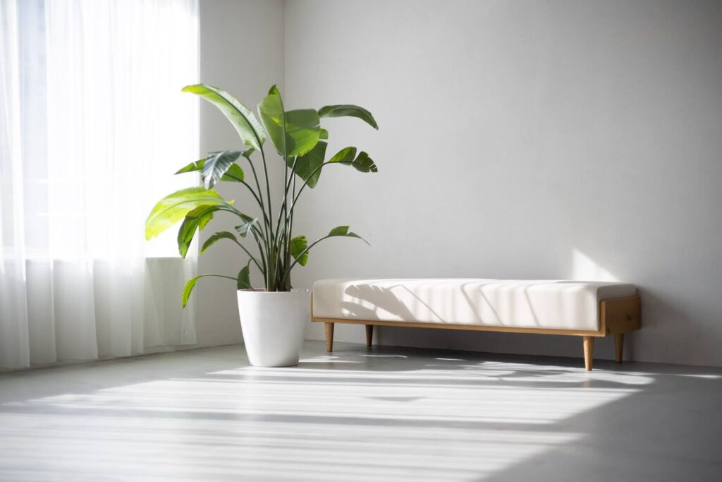 爽やかな光が部屋の中に入り、白いソファーを照らしている。
