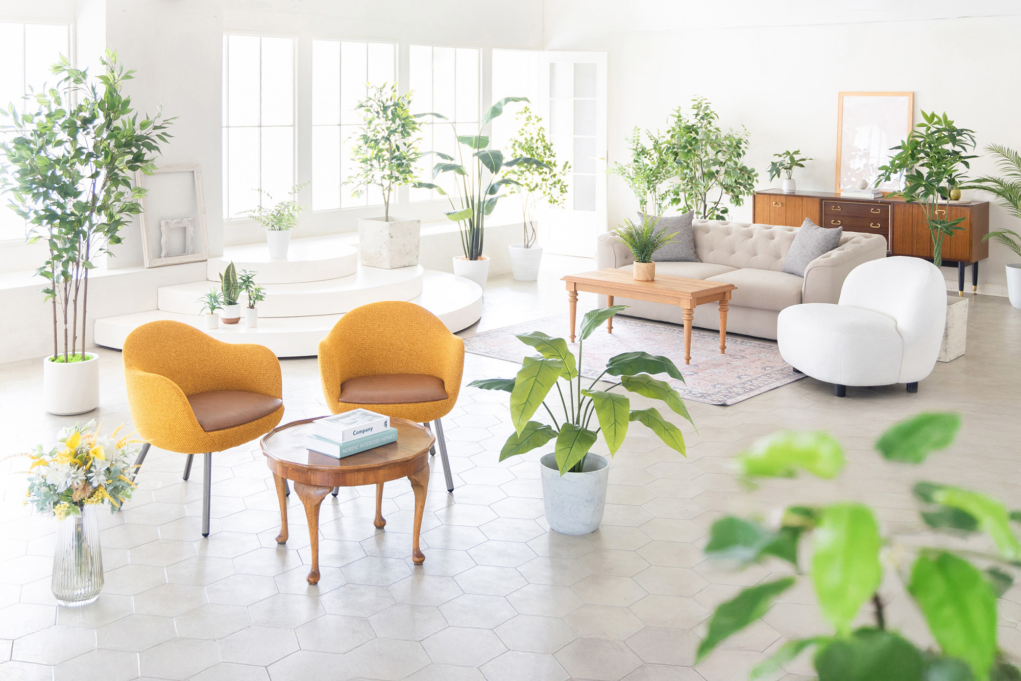 黄色い2脚の椅子とソファ、フェイクグリーンに明るい室内