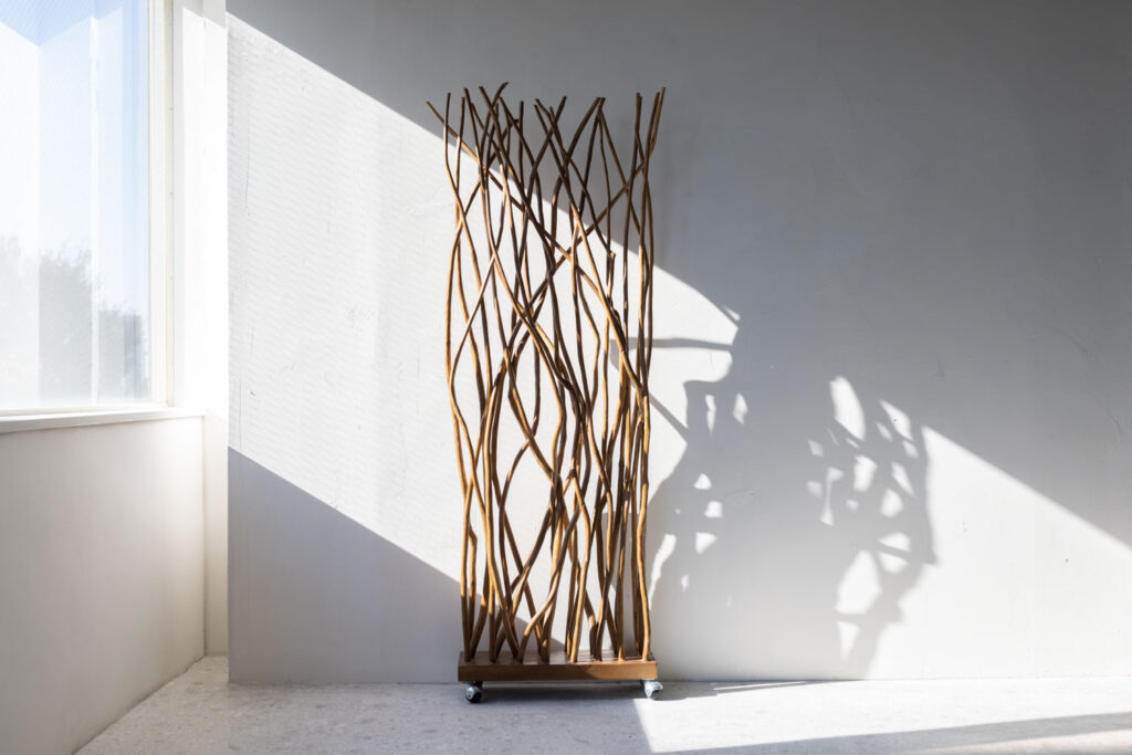 窓から入る光が、白壁と木製のパーテーションを照らしている写真