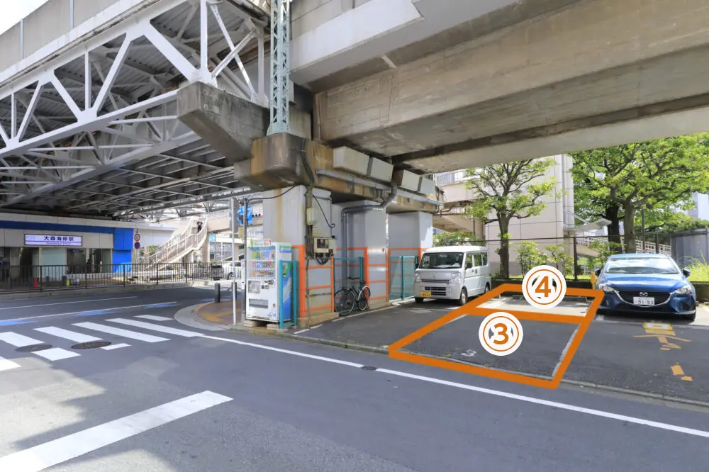 つきかげクオリア Foxtail-Grass Studio フィールドクーラーダッフル M V2 チョコチップカモ | グレゴリー公式